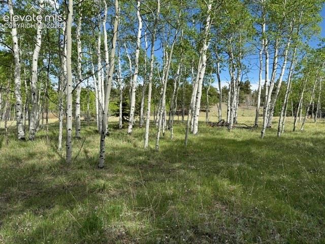 417 Aspen Way Drive Florissant CO 80816