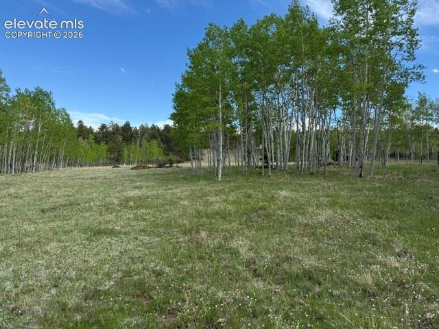 417 Aspen Way Drive Florissant CO 80816