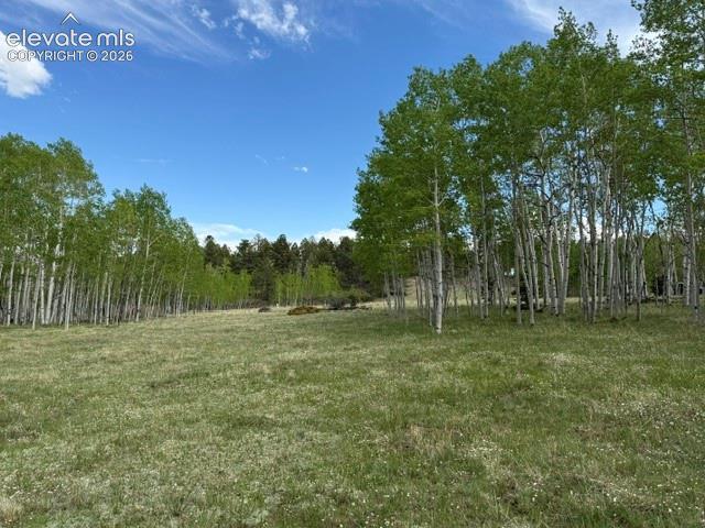417 Aspen Way Drive Florissant CO 80816