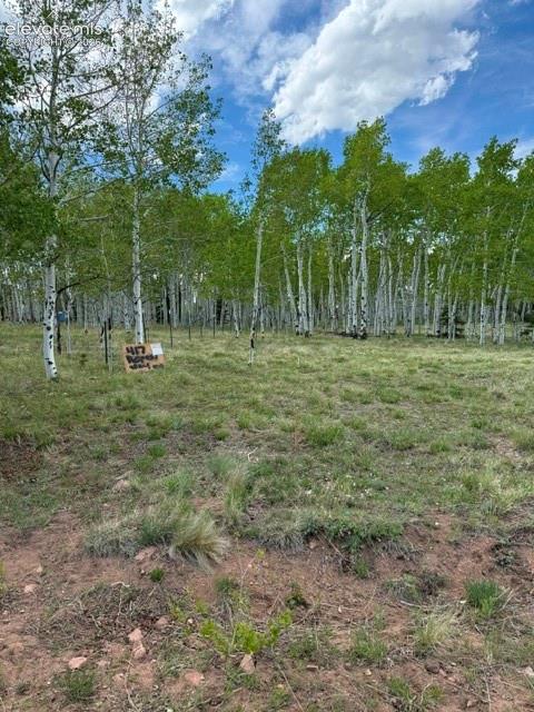 417 Aspen Way Drive Florissant CO 80816