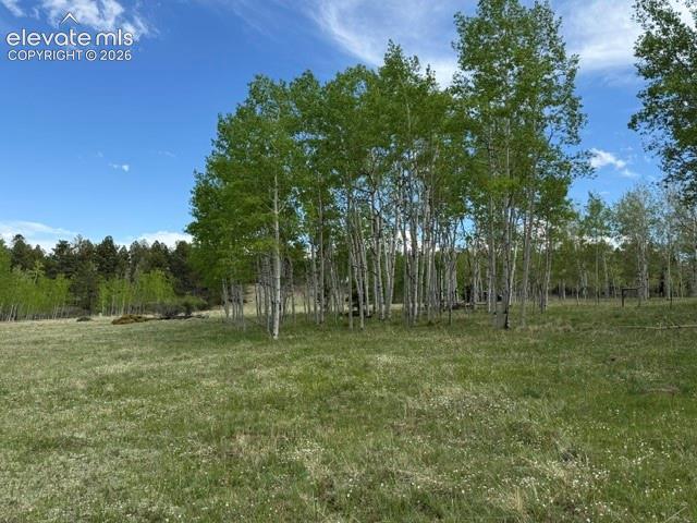 417 Aspen Way Drive Florissant CO 80816