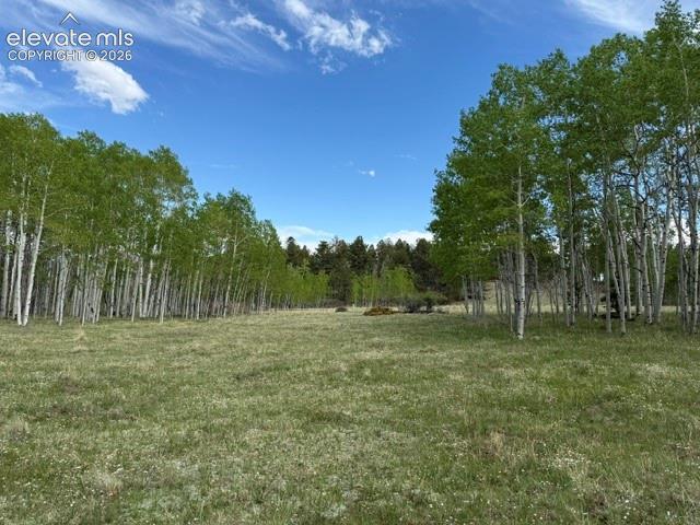 417 Aspen Way Drive Florissant CO 80816