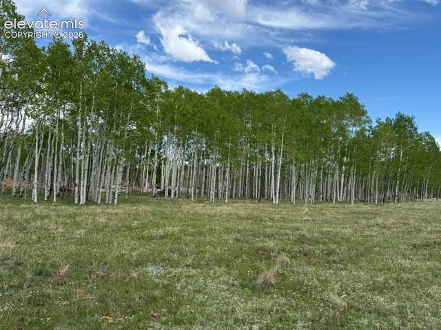 417 Aspen Way Drive Florissant CO 80816