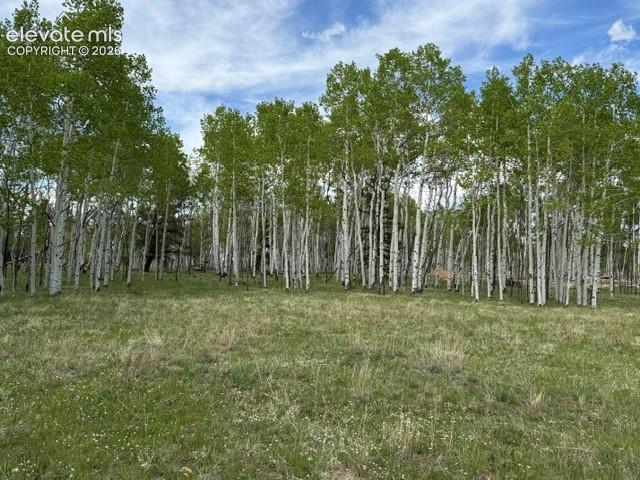 417 Aspen Way Drive Florissant CO 80816