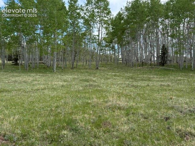 417 Aspen Way Drive Florissant CO 80816