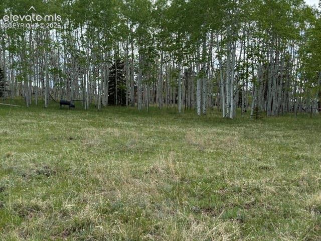 417 Aspen Way Drive Florissant CO 80816