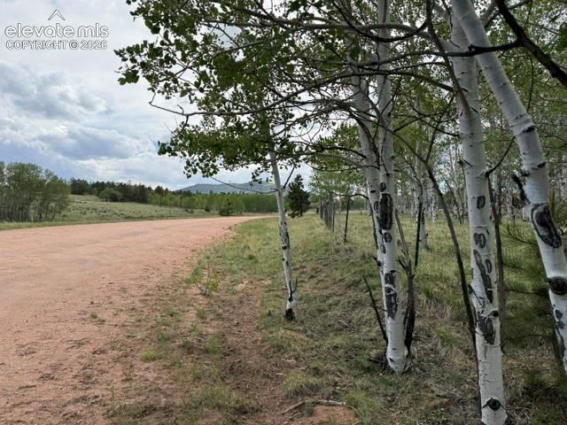 417 Aspen Way Drive Florissant CO 80816