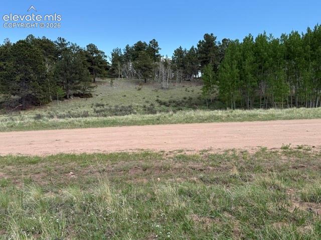 417 Aspen Way Drive Florissant CO 80816