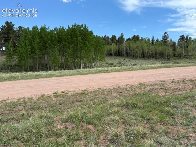 417 Aspen Way Drive Florissant CO 80816