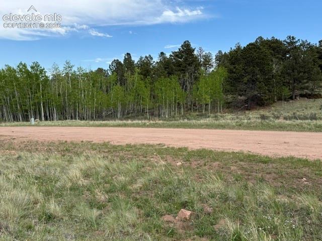 417 Aspen Way Drive Florissant CO 80816
