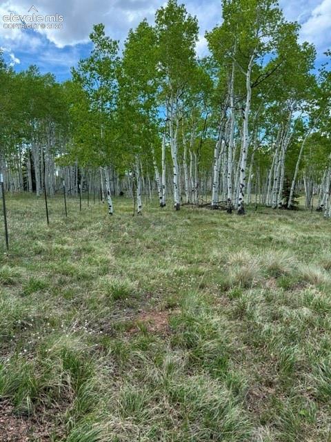 417 Aspen Way Drive Florissant CO 80816