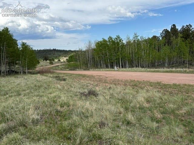 417 Aspen Way Drive Florissant CO 80816