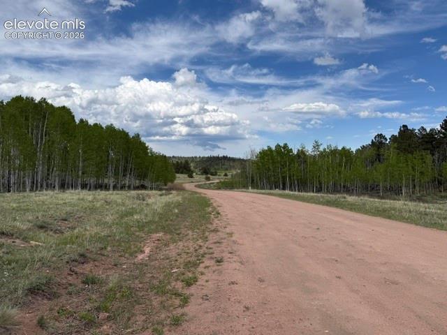 417 Aspen Way Drive Florissant CO 80816