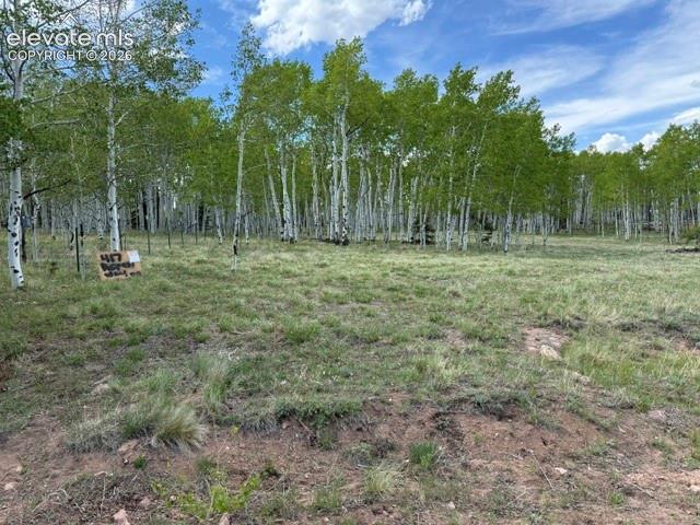 417 Aspen Way Drive Florissant CO 80816