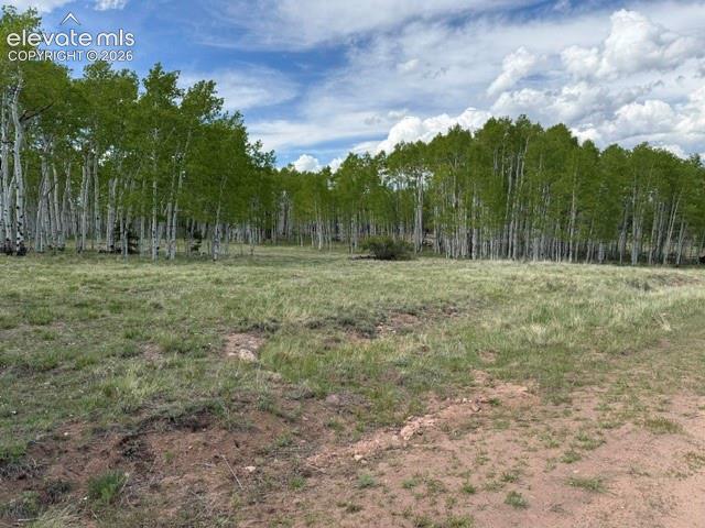 417 Aspen Way Drive Florissant CO 80816