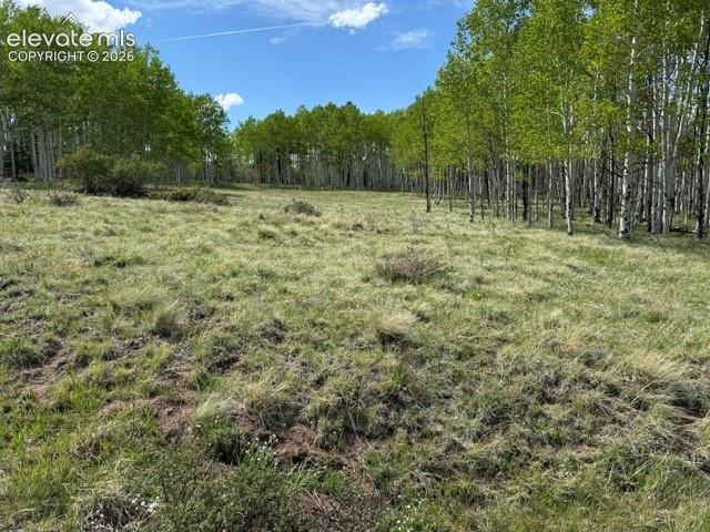 417 Aspen Way Drive Florissant CO 80816