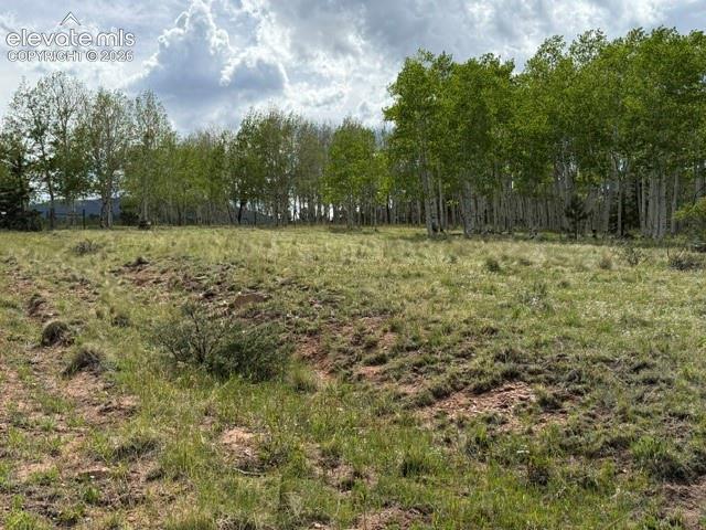 417 Aspen Way Drive Florissant CO 80816