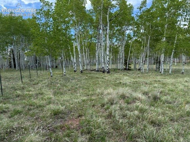 417 Aspen Way Drive Florissant CO 80816