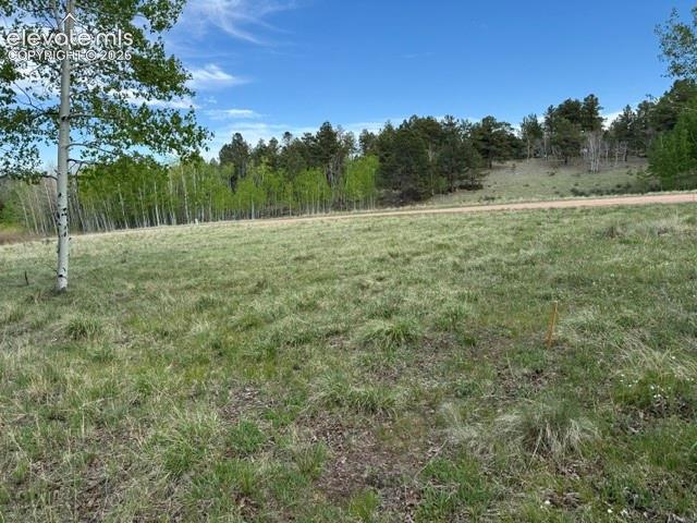 417 Aspen Way Drive Florissant CO 80816