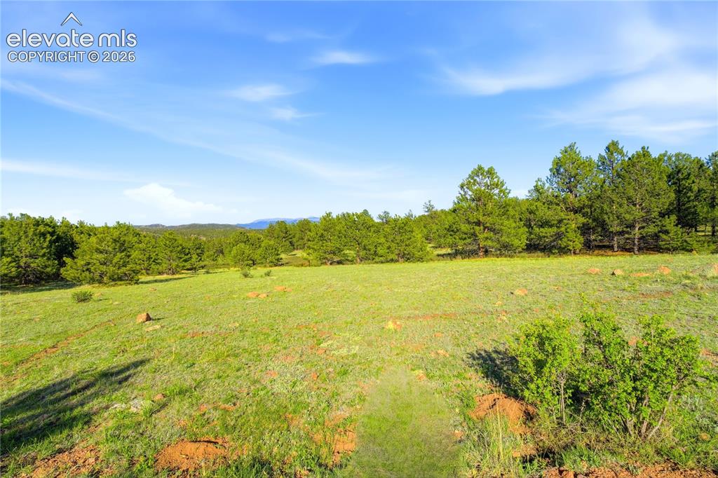 Doe Valley Road Guffey CO 80820