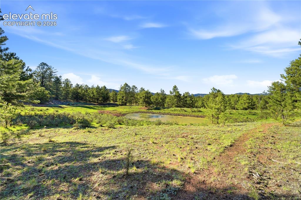 Doe Valley Road Guffey CO 80820