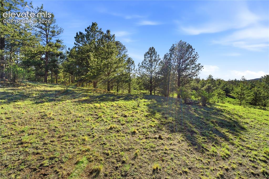 Doe Valley Road Guffey CO 80820