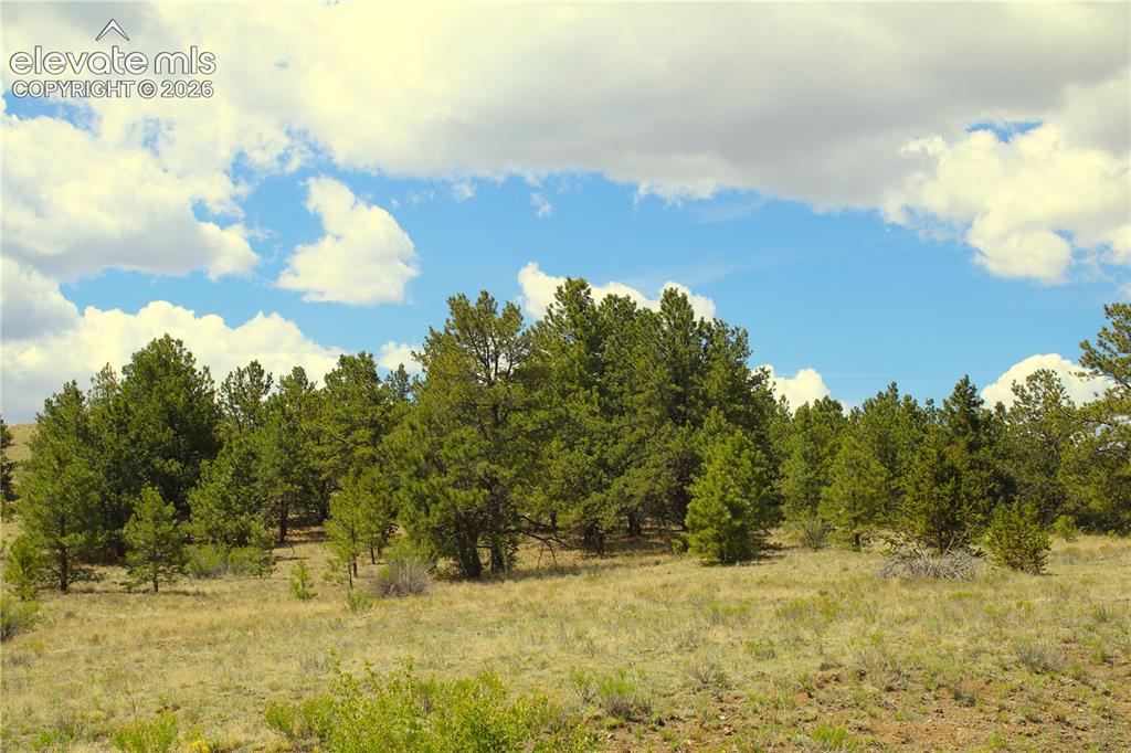 60 Hill Road Hartsel CO 80449