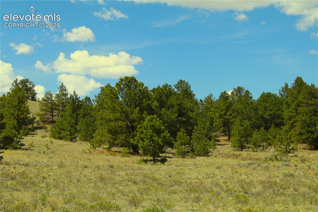 60 Hill Road Hartsel CO 80449