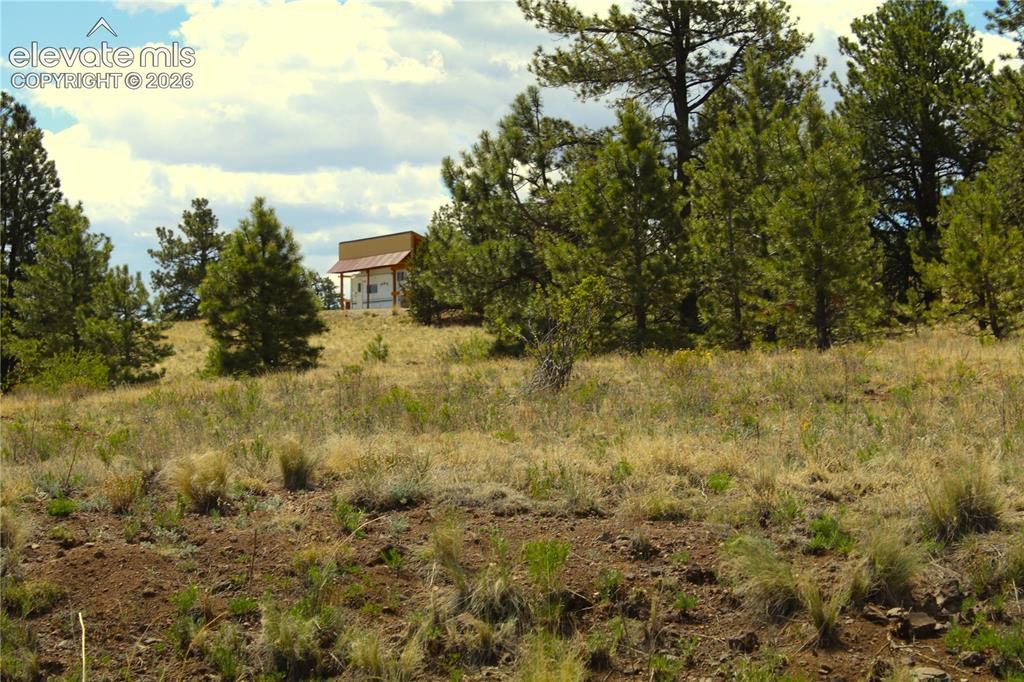 60 Hill Road Hartsel CO 80449