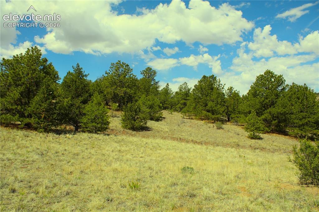 60 Hill Road Hartsel CO 80449