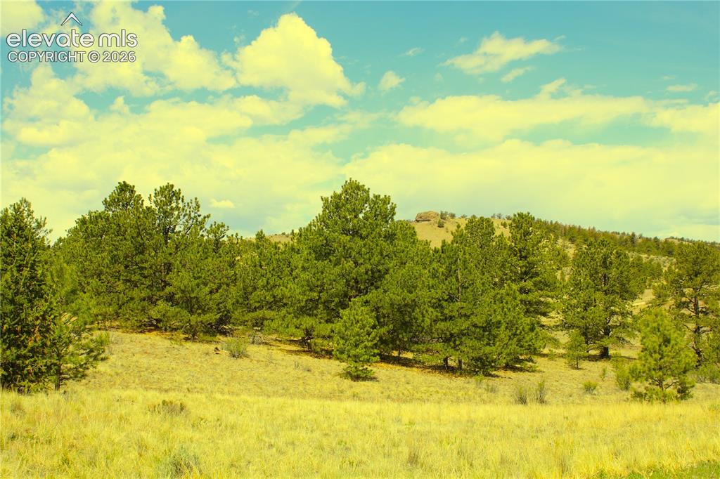 60 Hill Road Hartsel CO 80449