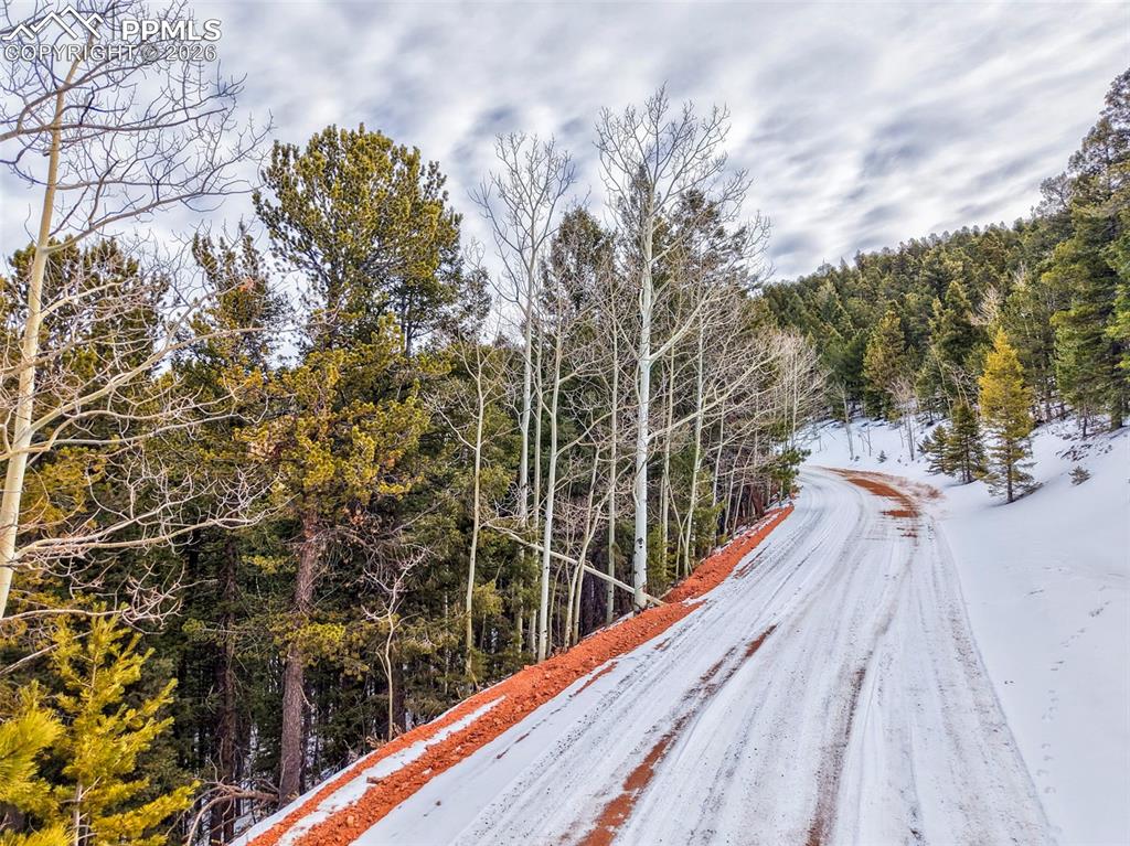 165 Witherite Drive Divide CO 80814