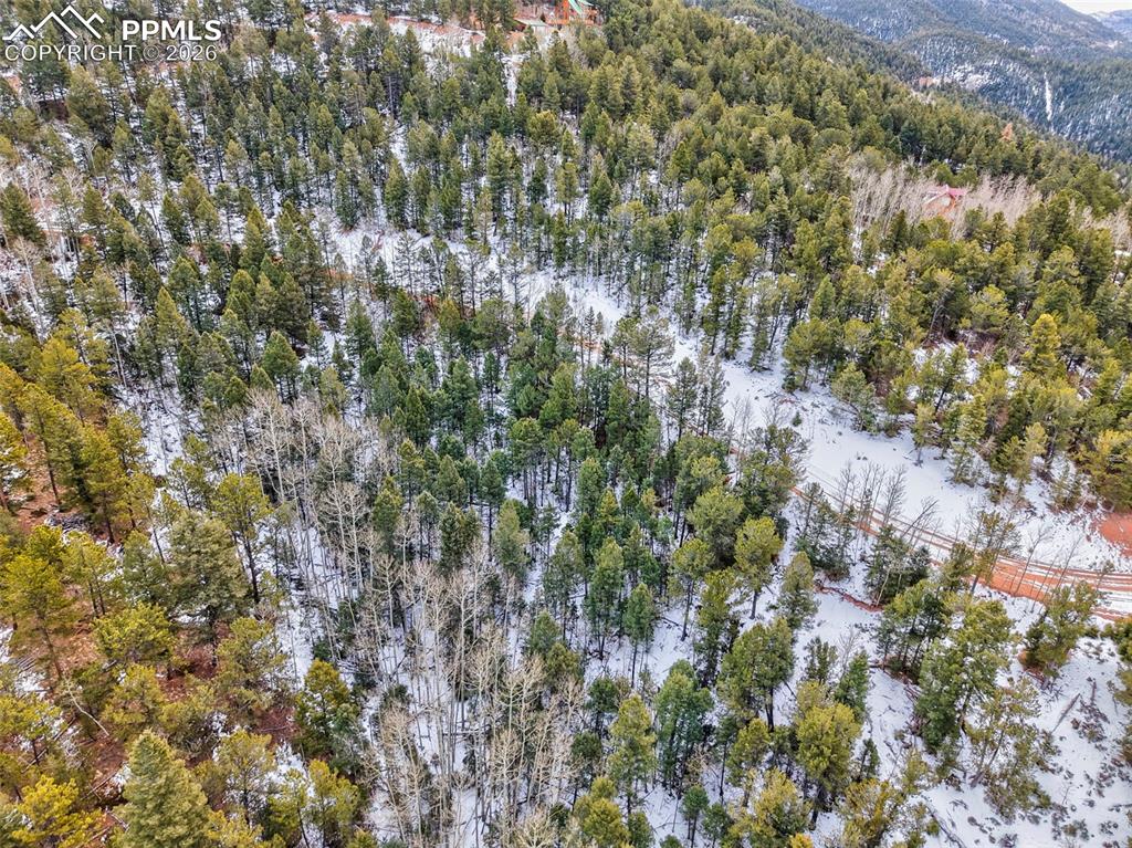 165 Witherite Drive Divide CO 80814