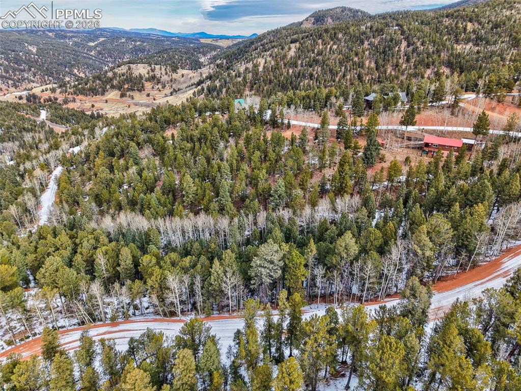 165 Witherite Drive Divide CO 80814