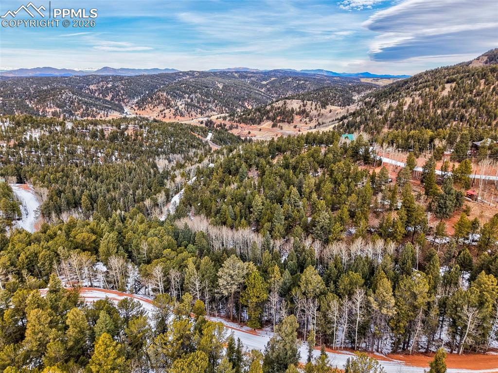 165 Witherite Drive Divide CO 80814