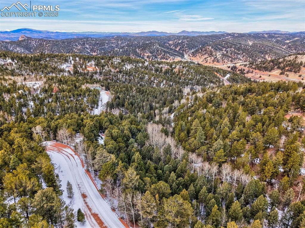 165 Witherite Drive Divide CO 80814