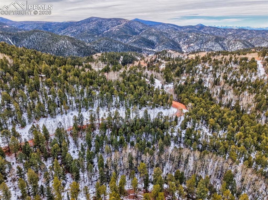 165 Witherite Drive Divide CO 80814