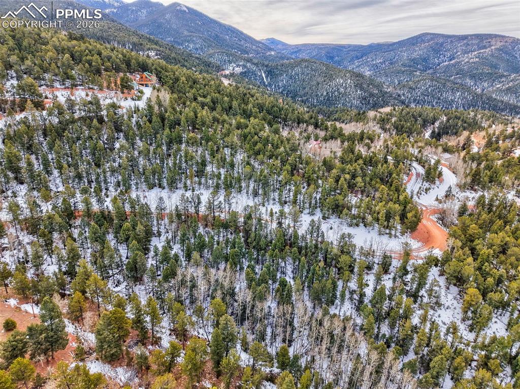 165 Witherite Drive Divide CO 80814