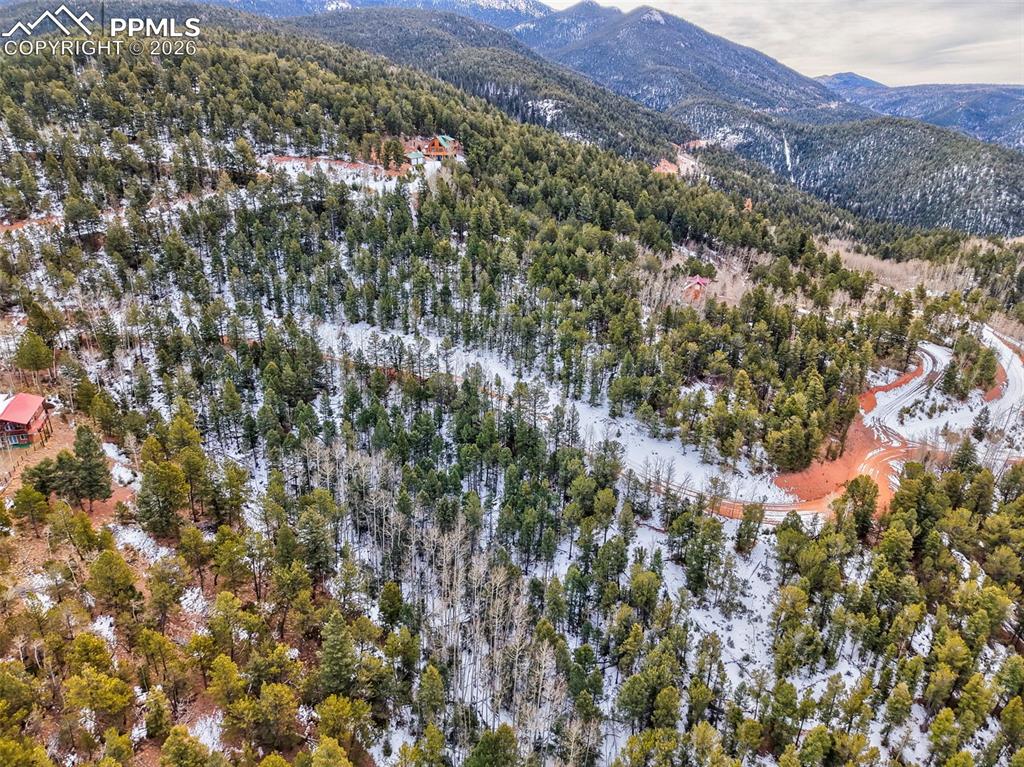 165 Witherite Drive Divide CO 80814