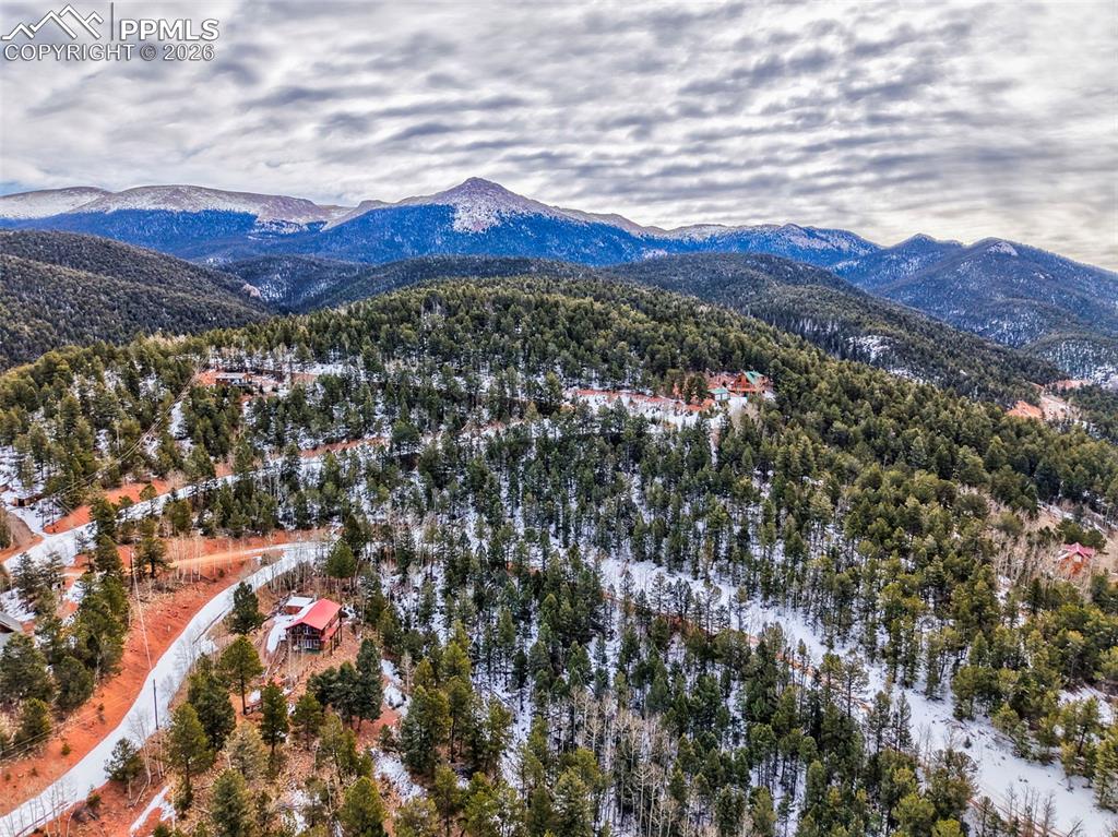 165 Witherite Drive Divide CO 80814
