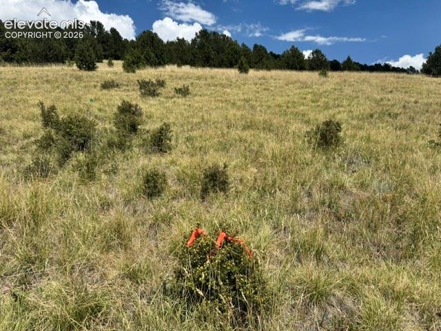Unknown Road Cripple Creek CO 80813