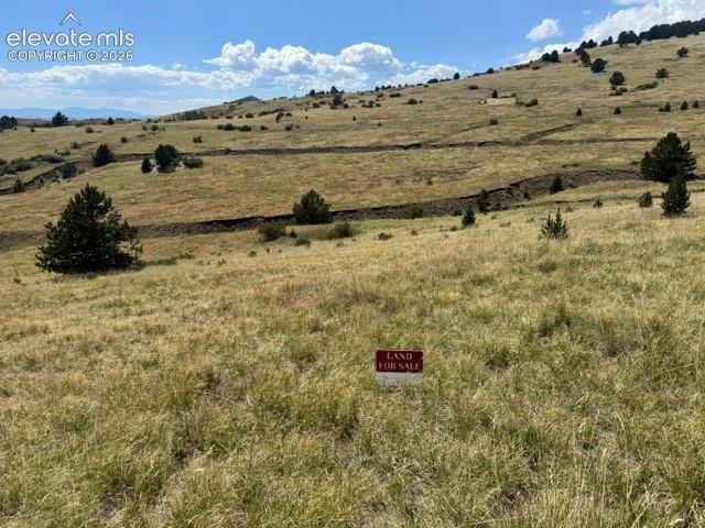 Unknown Road Cripple Creek CO 80813