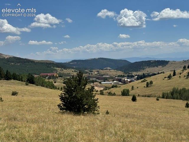 Unknown Road Cripple Creek CO 80813