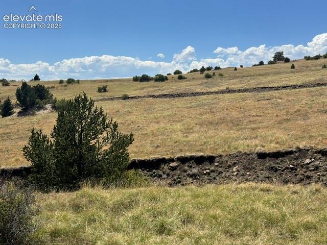 Unknown Road Cripple Creek CO 80813
