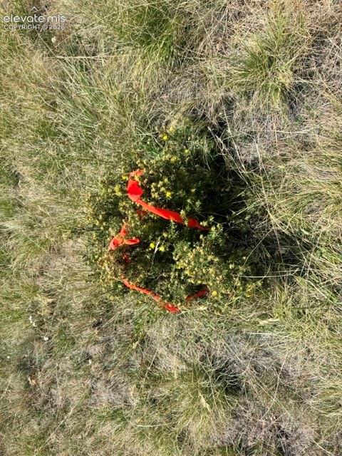 Unknown Road Cripple Creek CO 80813