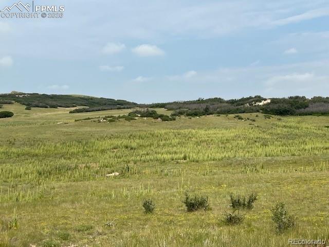 S Highway 83 Franktown CO 80116