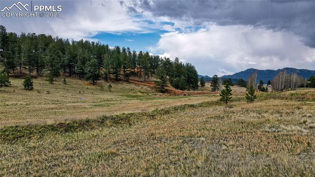 188 High Pasture Road Florissant CO 80816
