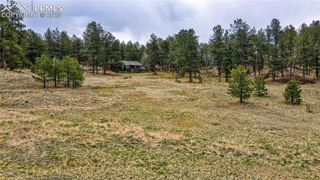 188 High Pasture Road Florissant CO 80816