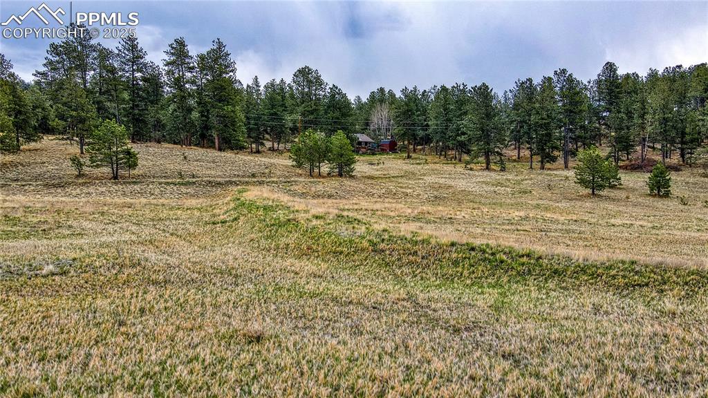 188 High Pasture Road Florissant CO 80816