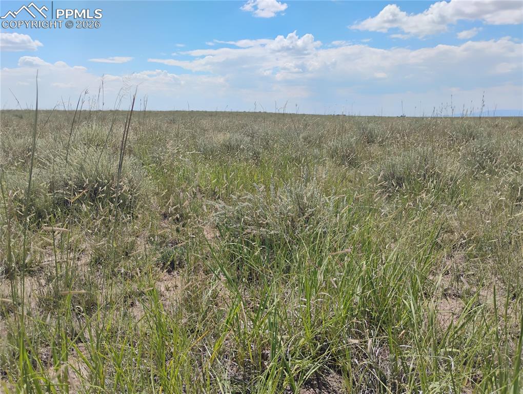 20370 Squirrel Creek Road Colorado Springs CO 80928
